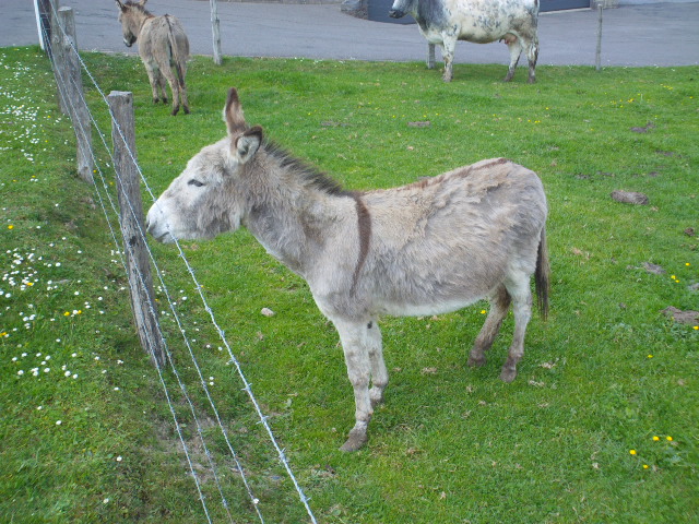 2014hwk 122.jpg